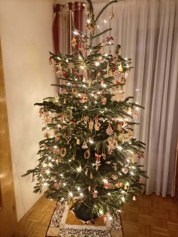 [Image: 320517342-671259814547699-5747103077897881943-n.jpg]