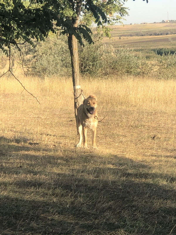 21502C59-CCE7-4D29-B081-D527A07757D3