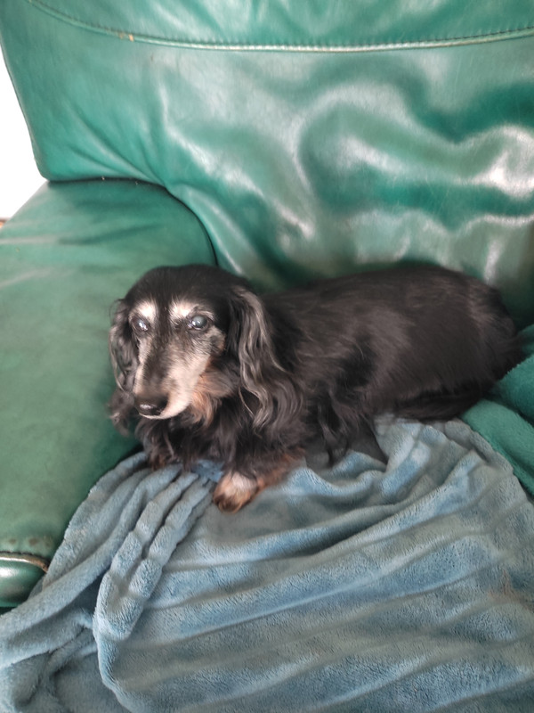 [Image: IMG-20230215-104915.jpg]