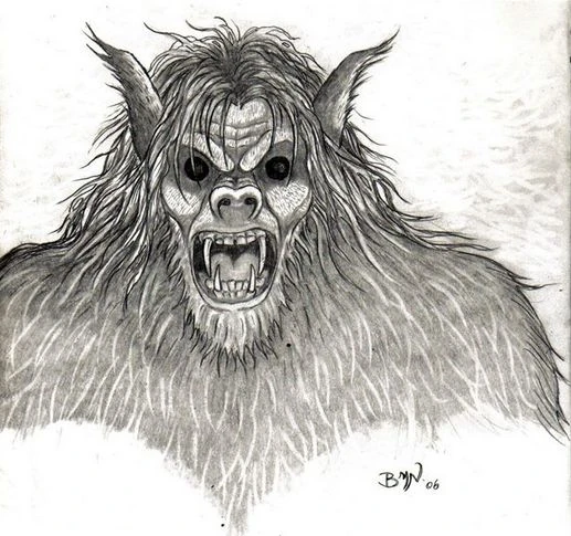 Beast-land-between-lakes.webp