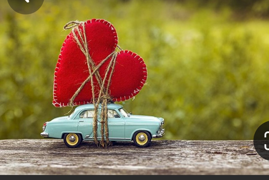 Screenshot_20240214_172020_Pinterest