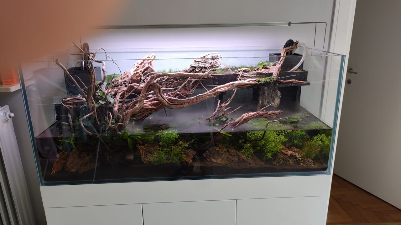 WhatsApp Image 2021-03-08 at 12.14.47 (1)