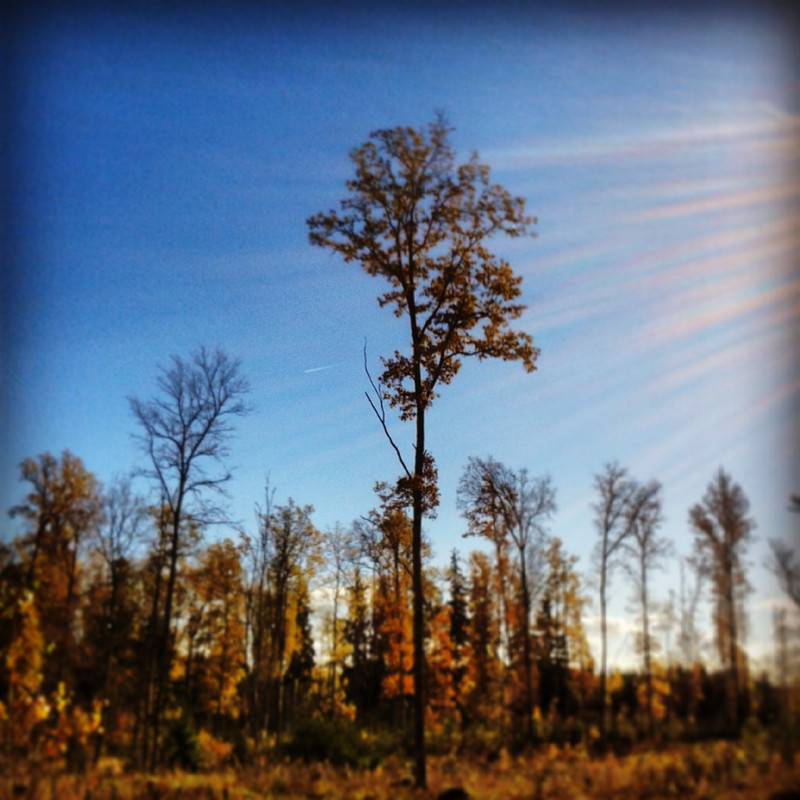 Vienišiai apšviesti Gėrio