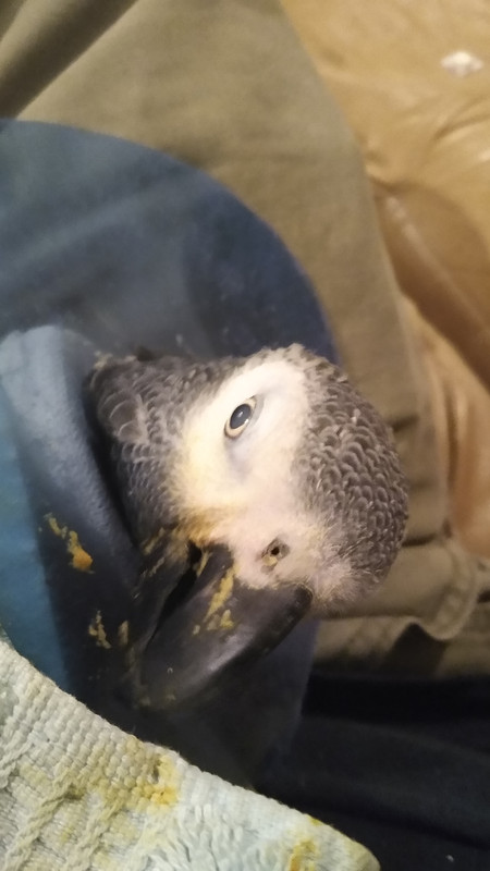 IMG_20191102_222448710