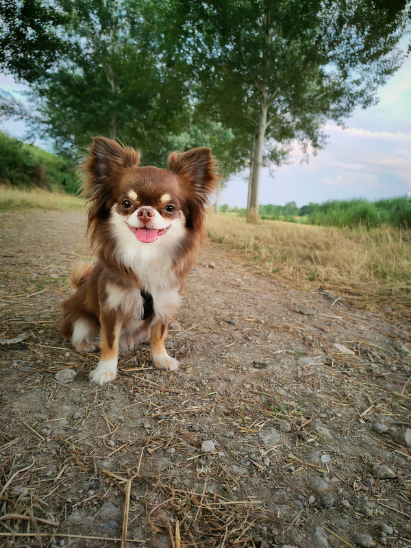 Lumii_20210725_223920703