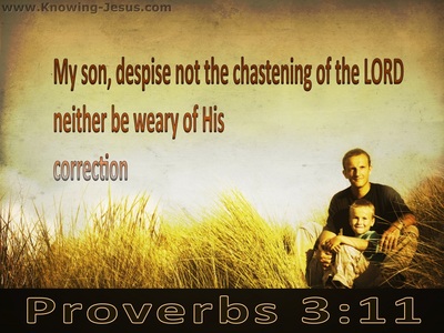 [Image: Proverbs-3-11-Do-Not-Despise-The-Lords-C...n-corn.jpg]