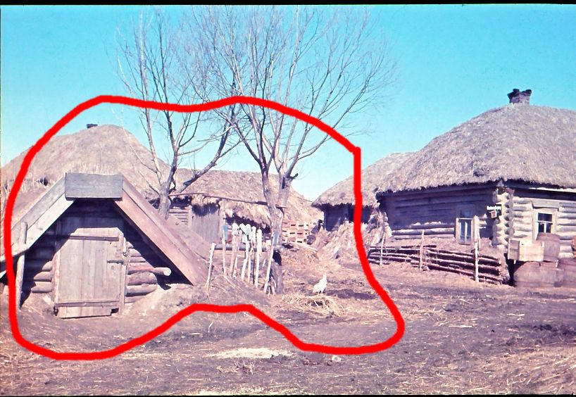 Farbdia Agfacolor Dia 5.Panzer Div.Wikinger Kriegsberichter Russland (17)