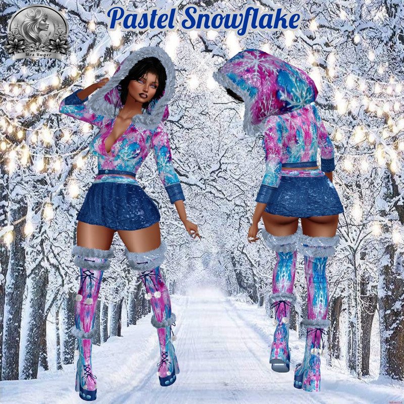 WINTER BACKDROP_O41 (6)