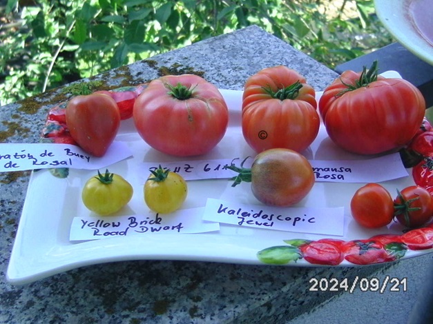 [Bild: BILD0418.jpg]
