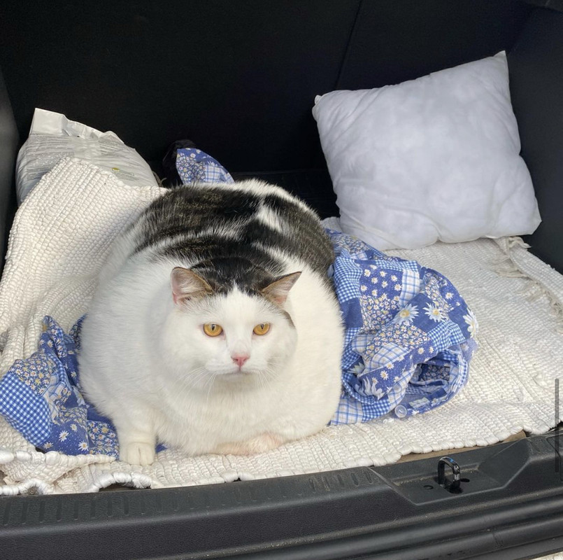 450898F8-CA47-4256-B97B-BD753403EC20