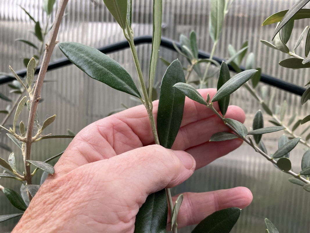 1E248E19-55BA-4539-A4F0-3C990561AF01