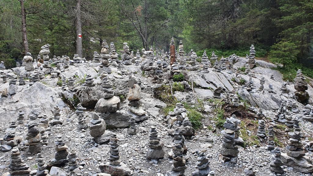 CÓMO SUIZA NOS ATRAPA POR 5º VERANO CONSECUTIVO + CARENNAC Y LOUBRESSAC - Blogs de Suiza - ROSENLAUI: otra perspectiva del Eiger (12)