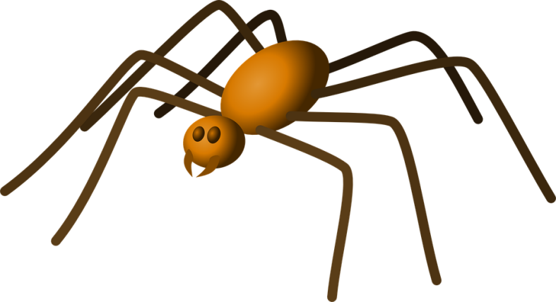 Halloweenpumpkitdnspider