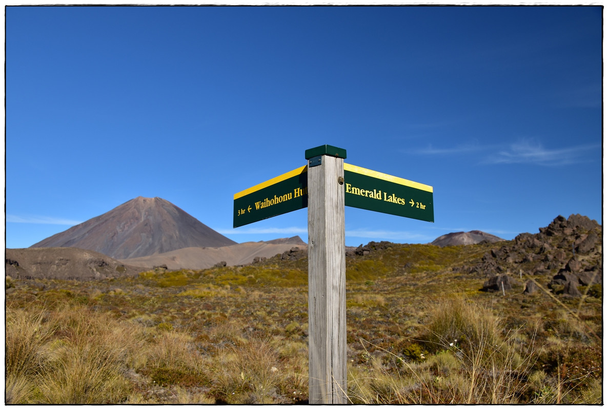 Tongariro NP: Tongariro Northern Circuit (enero 2022) - Escapadas y rutas por la Nueva Zelanda menos conocida (32)