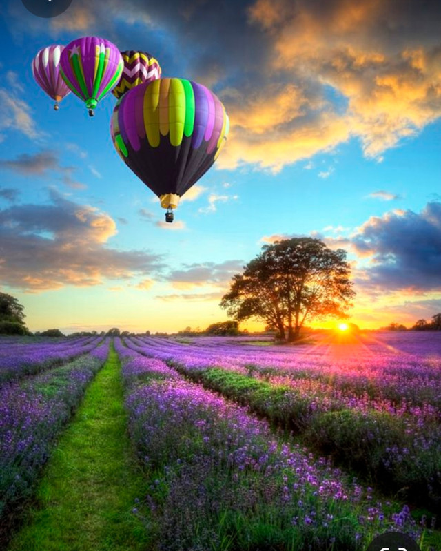 Screenshot_20230512_225816_Pinterest