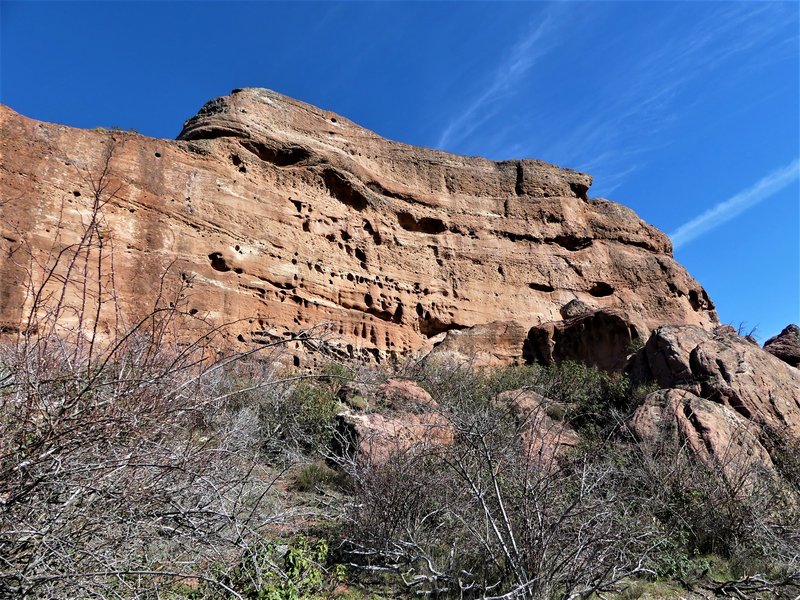 YACIMIENTO ARQUEOLOGICO DE TIERMES-16-2-2020 - Soria y sus pueblos-2010/2013/2020 (80)