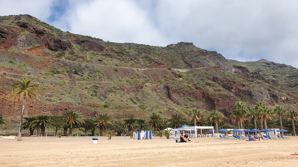 Tenerife: hay turismo más allá de El Teide - Blogs de España - PLAYA DE LAS TERESITAS- PLAYA DE LAS GAVIOTAS- REGRESO A CASA (3)