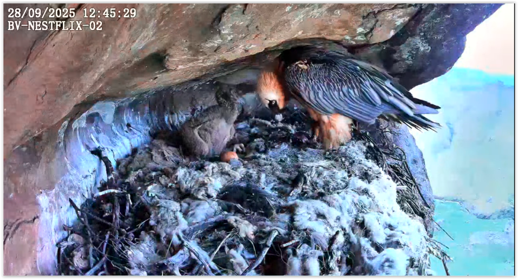 Screen Shot 09-28-25 at 11.51 PM 001