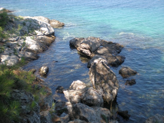 Slika