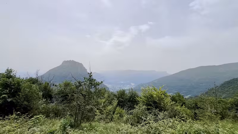 https://i.postimg.cc/DZRzSZcw/IMG-4123.avif