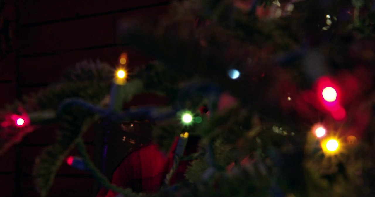 The-Lonely-Man-with-the-Ghost-Machine-2024-WEBRip-English-720p-x264-AVC-AAC-2-0-mp4-0004