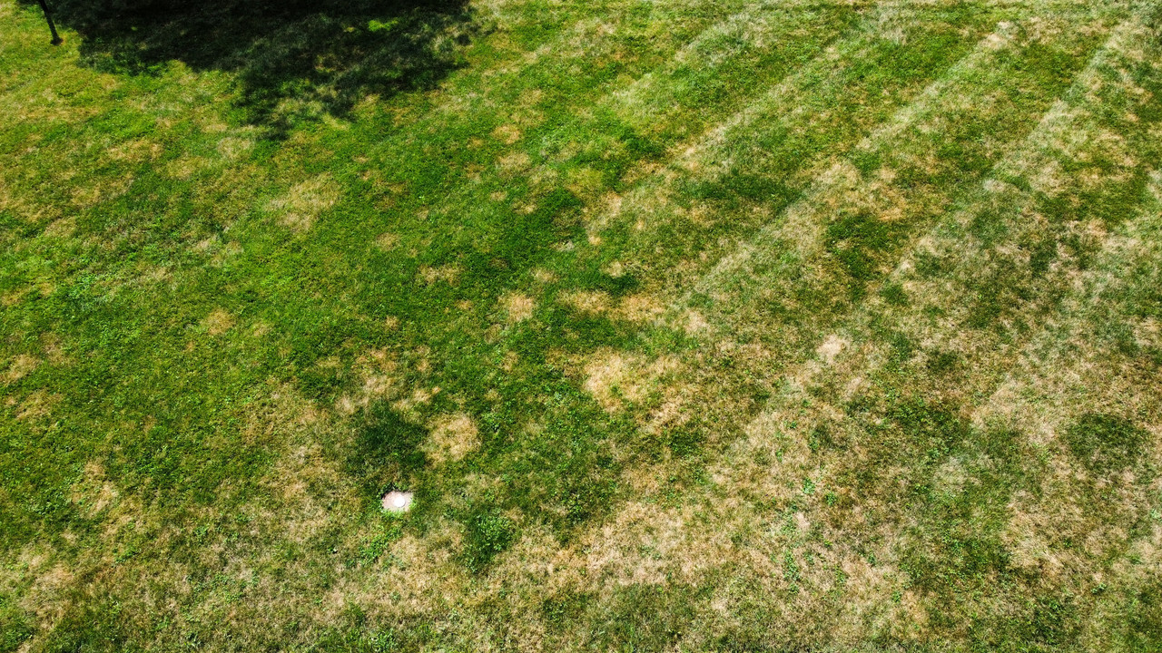 5EEEA63F-E8C7-443F-A60C-8EB2D5AB6F8B