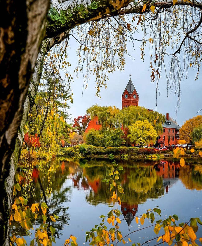 Screenshot_20231206_220740_Instagram