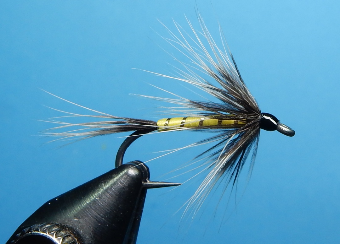 Lemon-Fish-Hawk-1080.jpg