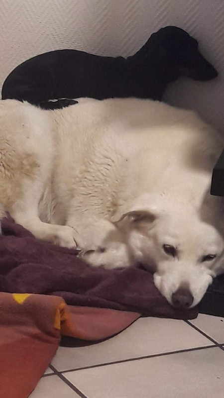 [Image: received-5248328785267077.jpg]