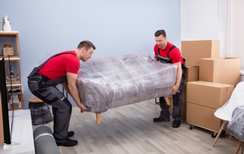 furniture removalists