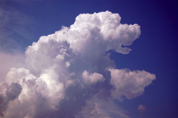 1afbb00bcdf4ee1b2944339b37b9d626--clouds-dog