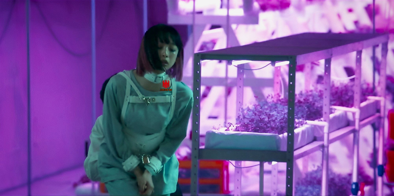Asuka Hanamura 11 - Shiti Hanta 2024