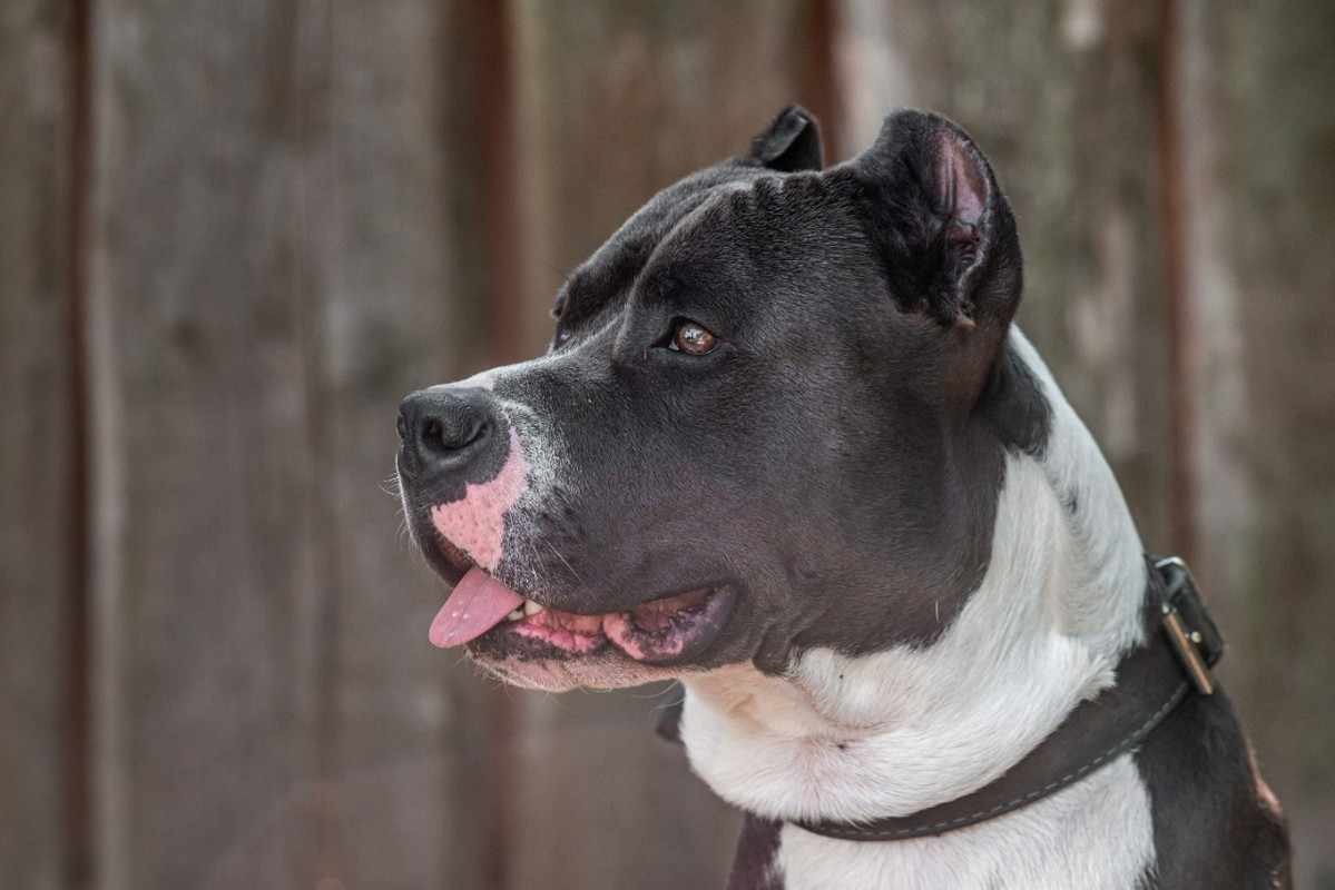 WhatsApp Image 2022-08-14 at 18.05.25 (2)