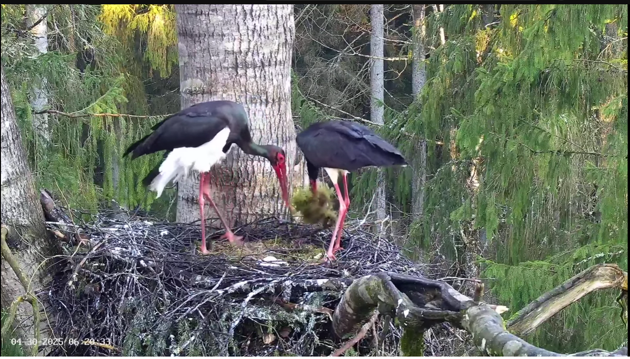 Ekrānuzņēmums 2025-04-30 120116