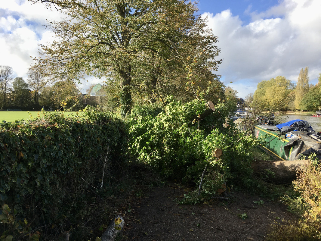 201B582B-E4E4-4D16-8E1E-67552AA4844E