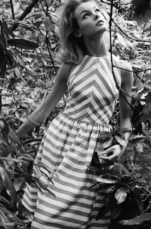 jean_shrimpton_me03