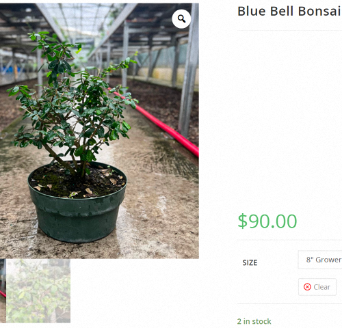 [Image: 2024-09-23-084727.png]