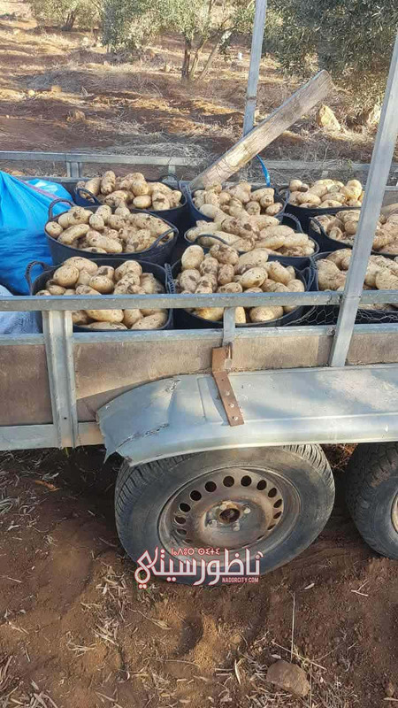 4db35eba-48c5-4795-b032-a83599926e72