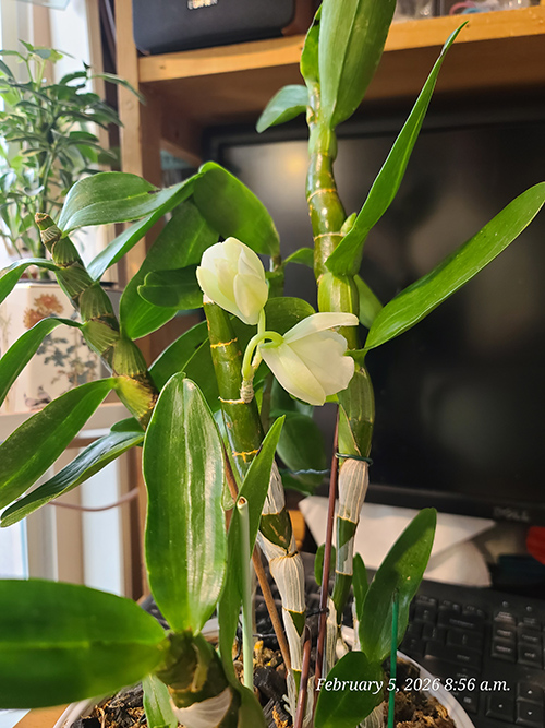 [Image: 20260205-085623.jpg]