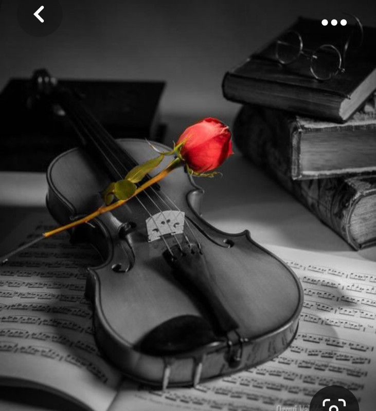 Screenshot_20230928_205709_Pinterest