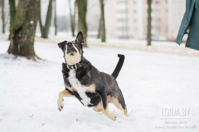 D99E0C86-2585-4C8E-8BFC-BC5663C8E22B