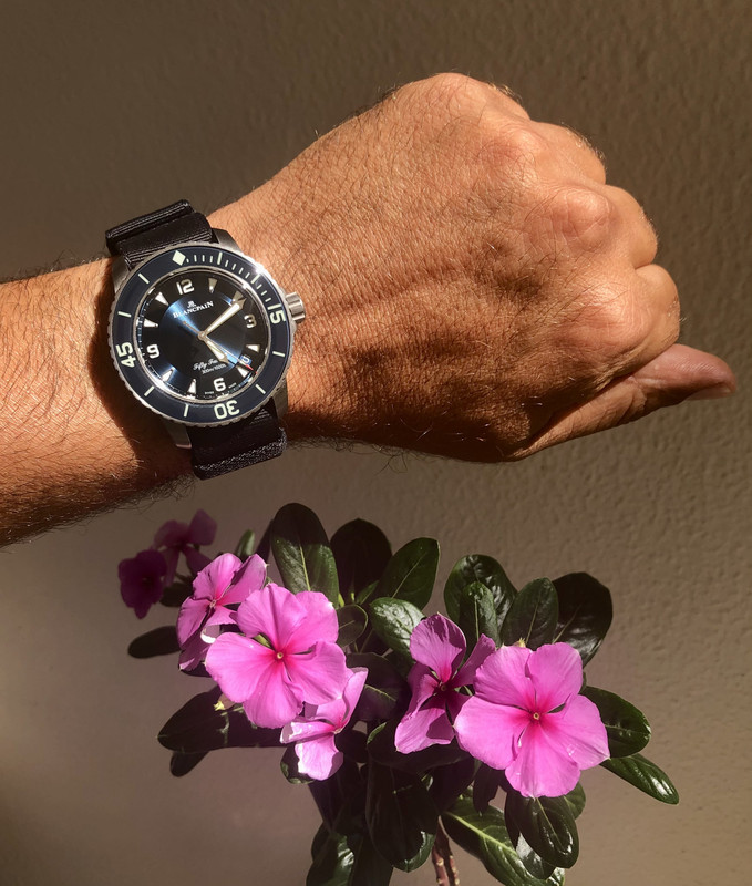 78494BC4-DA28-4664-B62C-7DBB51D98A0F