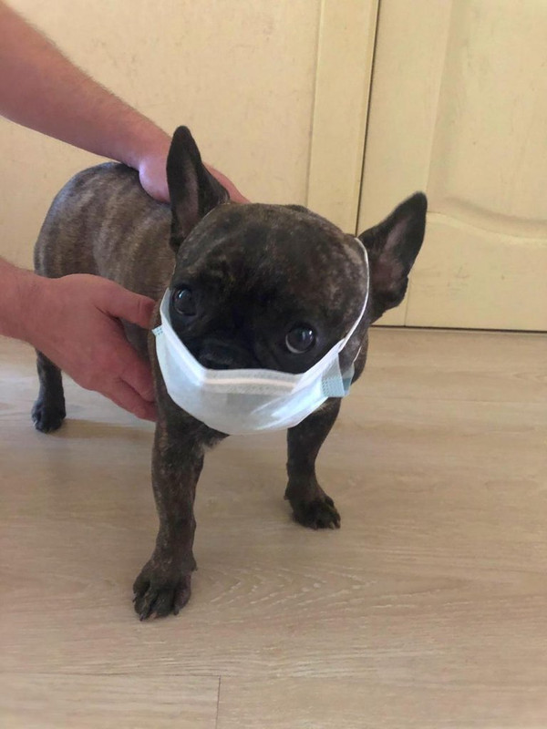 36CC3B43-ADF9-4322-A81A-BECF43351038