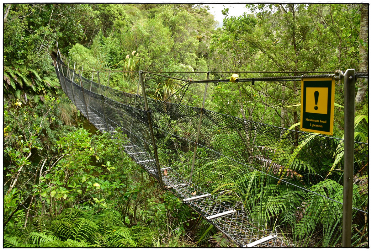 Escapadas y rutas por la Nueva Zelanda menos conocida - Blogs de Nueva Zelanda - Egmont / Taranaki NP: Pouakai Circuit (marzo 2021) (31)