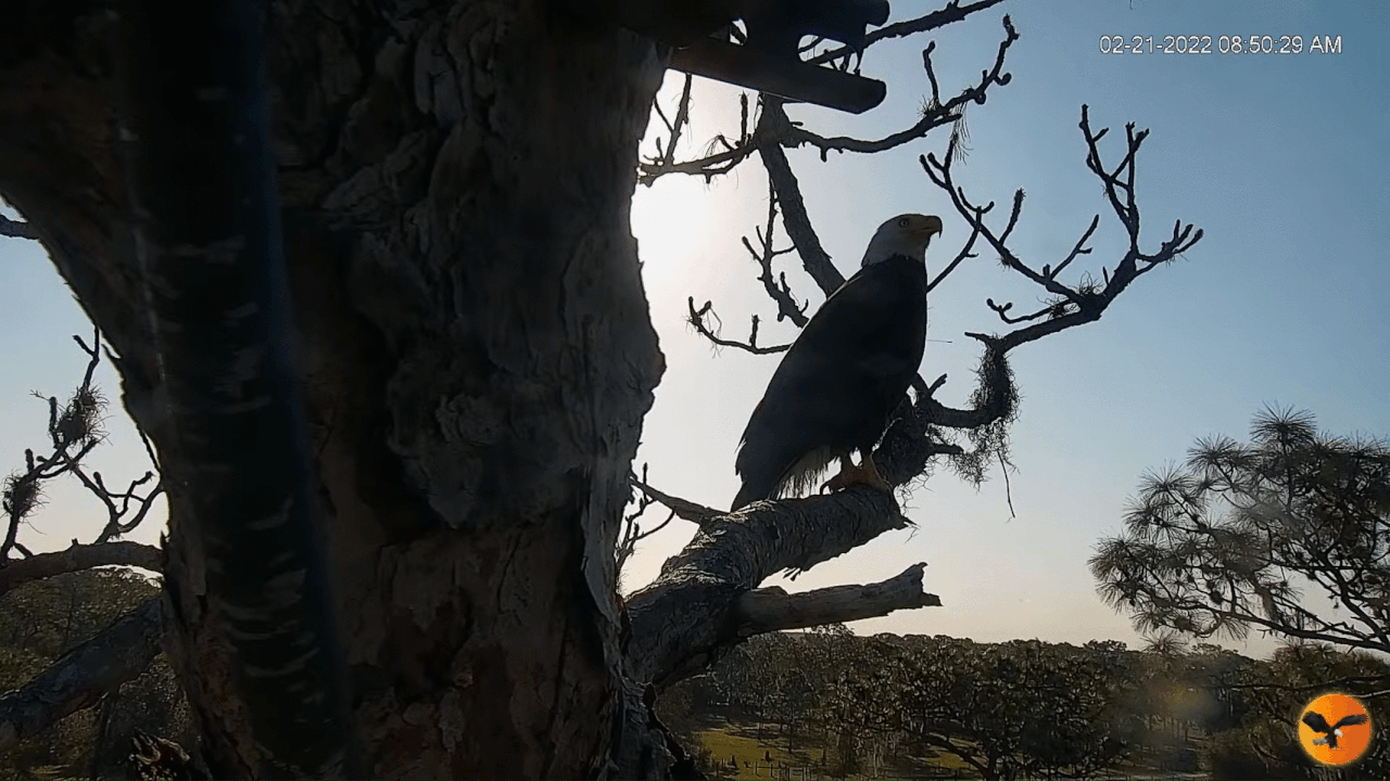 Webp.net-gifmaker (6)