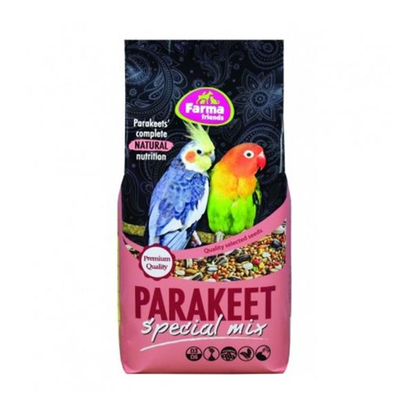 parakeet_1_29749e4c-3726-499b-b713-76022f55ff37_1024x