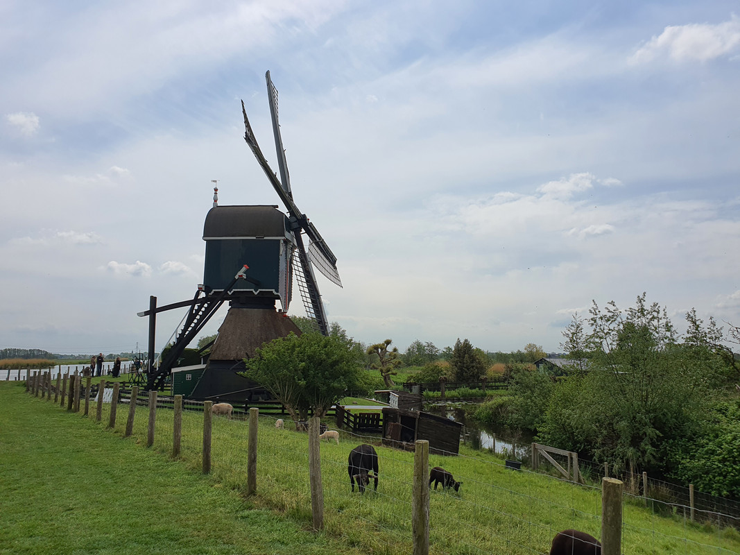 Pieter Zuijkerbuijk, Oukoopse Molen 13 Reewijk 03-05-2020