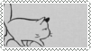 yawn cat