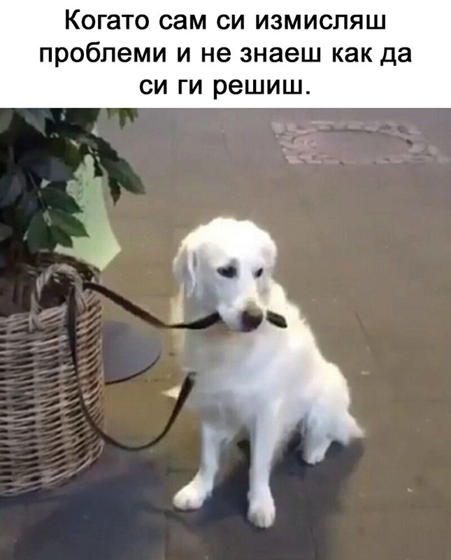 9a892b8fa9dc802d6c67ad2c4f22c3faf8d41988ac4334ccdcbdc03207b00755-1