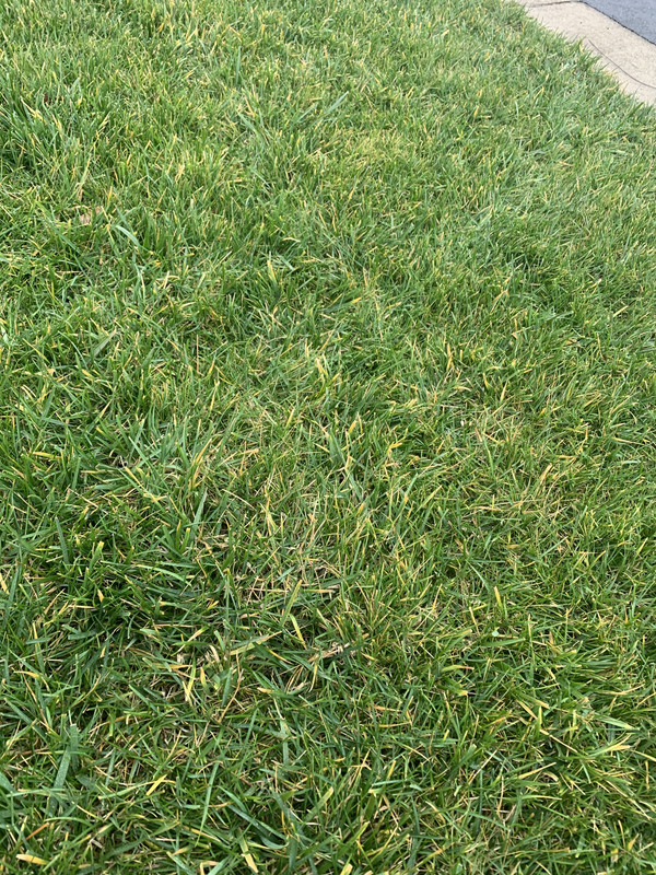 43862372-F4B2-4F92-9DBE-F2973E4A49DA